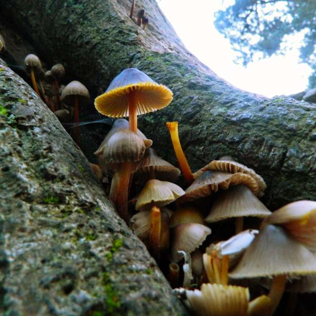 Hình ảnh Thời tiết ở Thế giới. Dự báo thời tiết với những bức ảnh đẹp của DarekCho