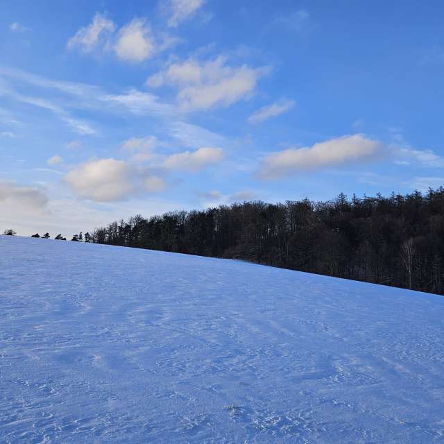 Cold. Weather forecasts with beautiful photos by PythonOfSoul Photos in World