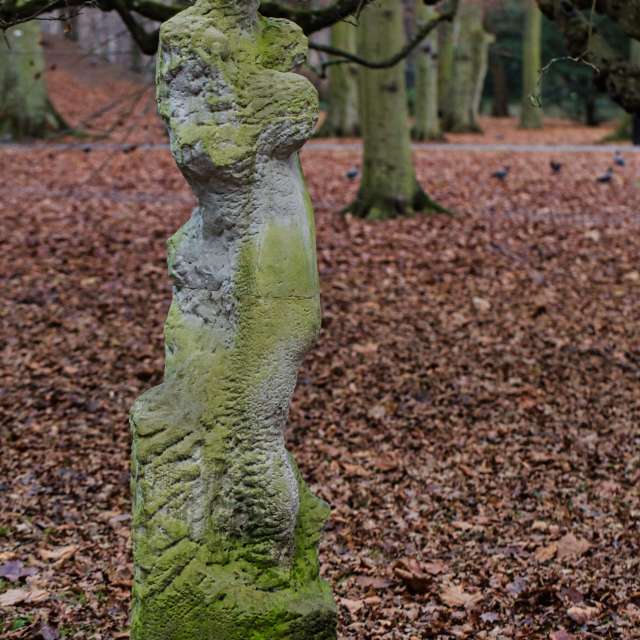 Weather forecasts with beautiful photos by martinm611