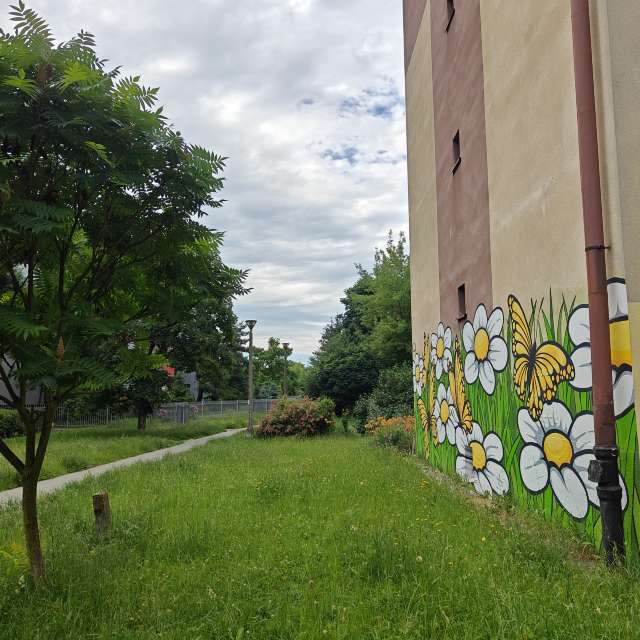 Fotos del Herboso. Pronósticos del tiempo con hermosas fotos de zjabri en Cracovia
