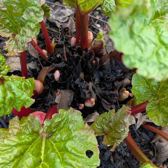 Прогнозы погоды с чудесными фотографиями, сделанными Sunshinelady62