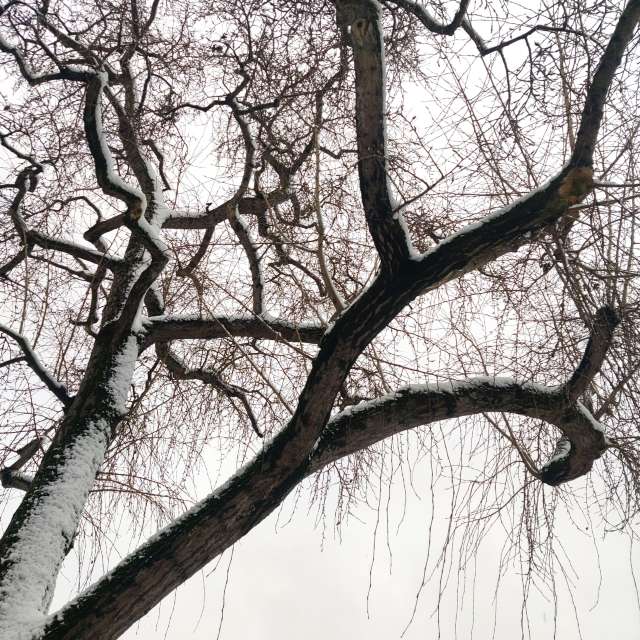 Прогнозы погоды с чудесными фотографиями, сделанными Zorrra