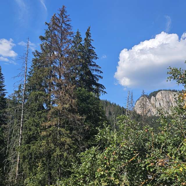 Wettervorhersagen mit schönen Fotos von ILIE