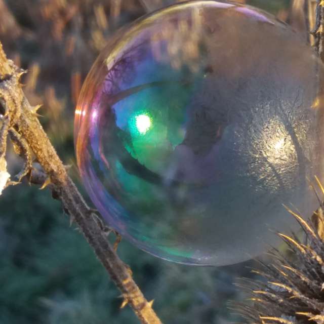 Weather forecasts with beautiful photos by Ute-Eleonore