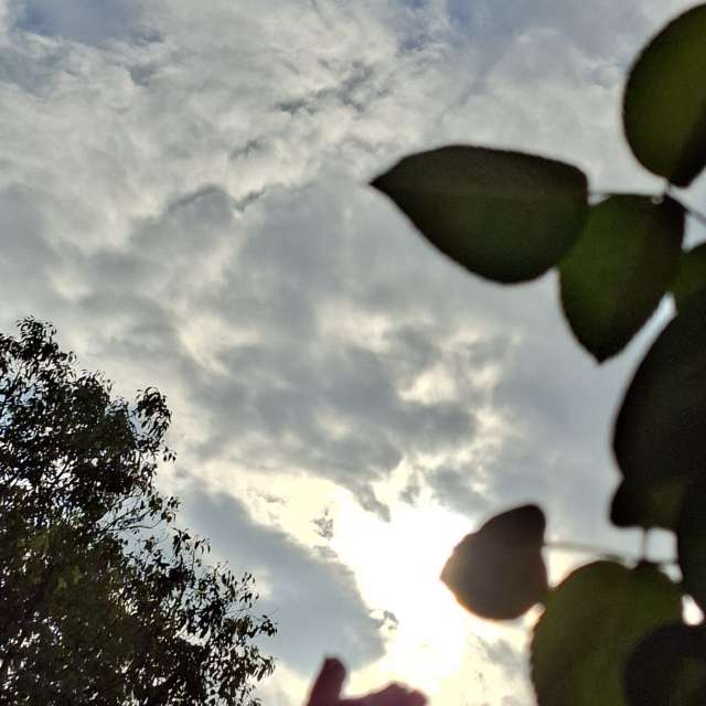 Photos Remplissage. Prévisions météo avec de superbes photos de Wen-ya Huang de Kaohsiung