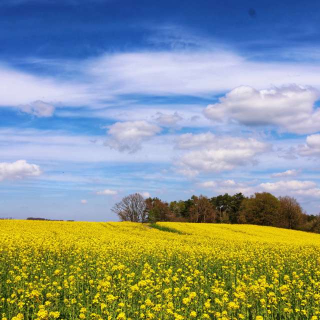 Bank. Weather forecasts with beautiful photos by Lotti5507 Photos in Stockum