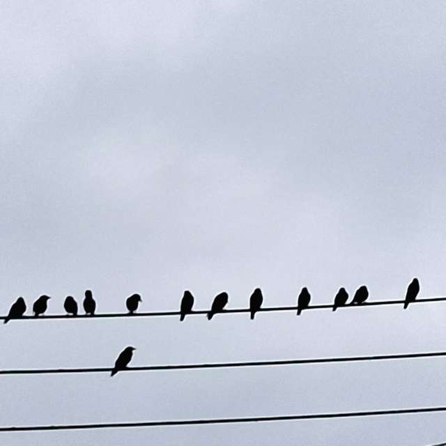 Lot. Weather forecasts with beautiful photos by Wen-ya Huang Photos in Kaohsiung City