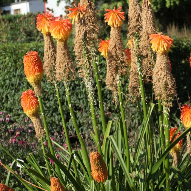 Fotos del Alto. Pronósticos del tiempo con hermosas fotos de Pawel Waligorski en Cracovia