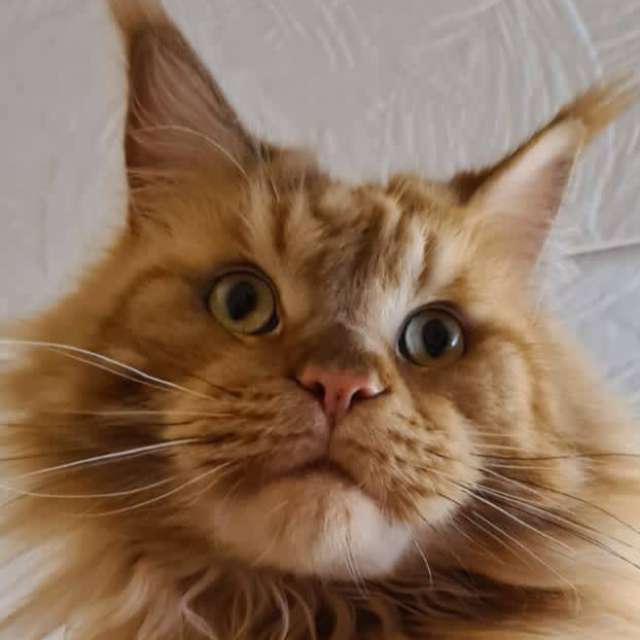 Fotos sobre el clima en Mundo. Pronósticos del tiempo con hermosas fotos de Prohojiy