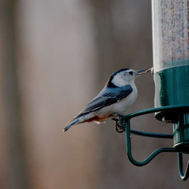 Dự báo thời tiết với những bức ảnh đẹp của krantzjh