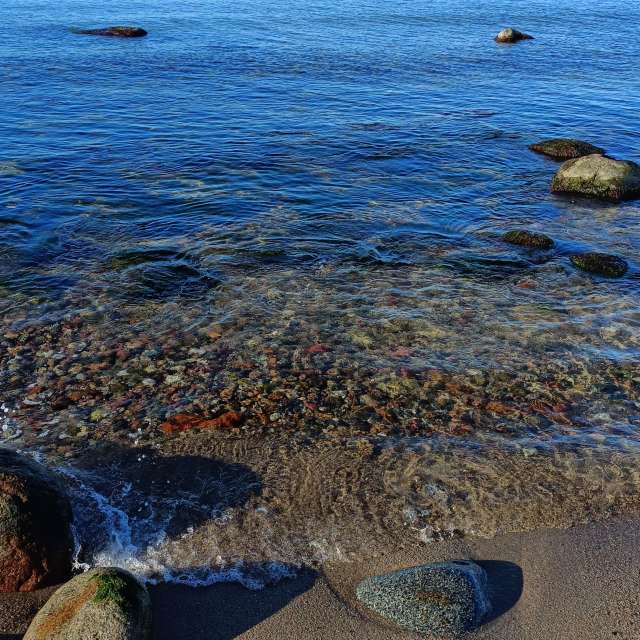 Gorod Svetlogorsk的Weather. 天气预报，带Михаил Бондаренко精美的照片照片