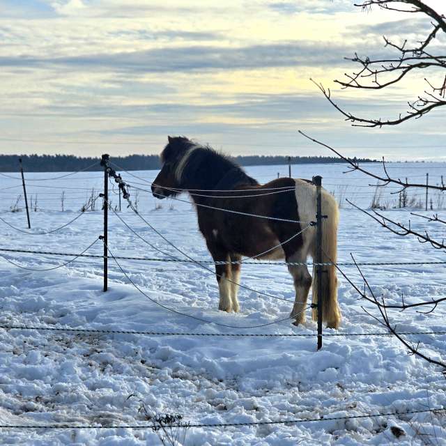 Helaの美しい写真による天気予報