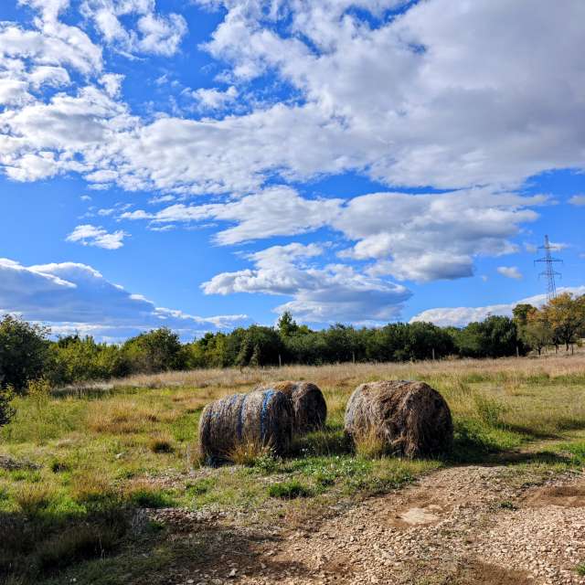 RoncevicRの美しい写真による天気予報