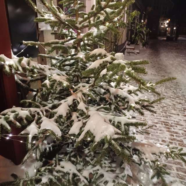 Weather forecasts with beautiful photos by Hikey