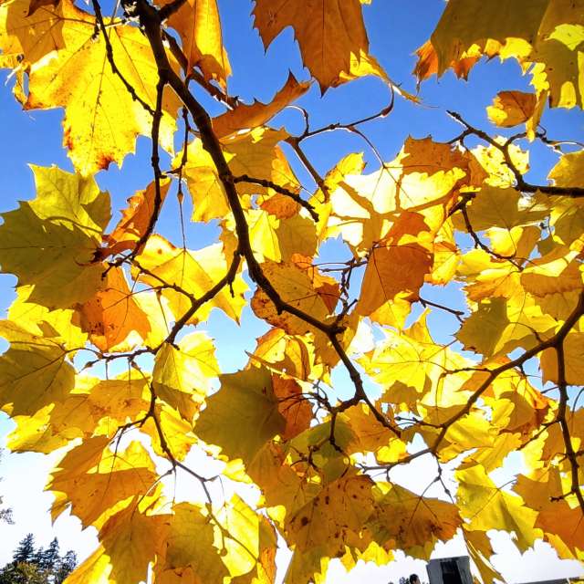 Прогнозы погоды с чудесными фотографиями, сделанными hachiperia