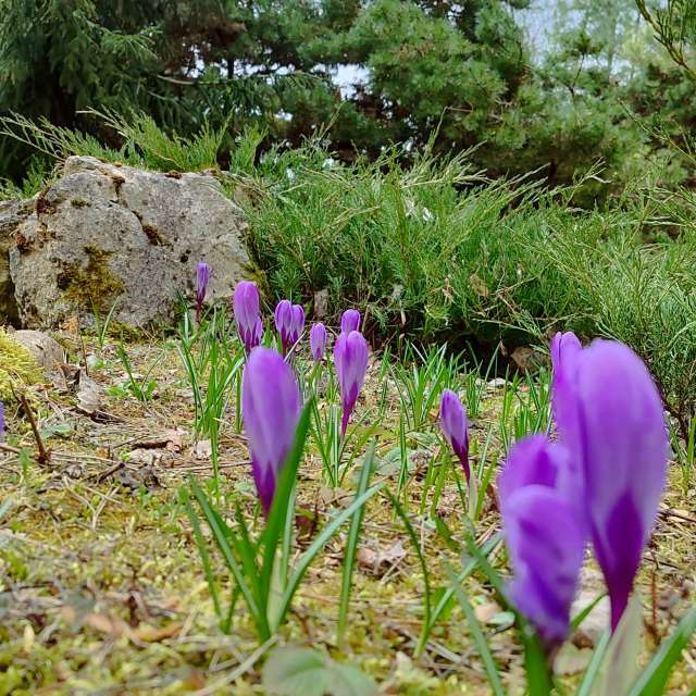 Fotos del Comiendo. Pronósticos del tiempo con hermosas fotos de Romek58 en Wieluń