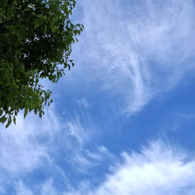 Photos Cerf-volant. Prévisions météo avec de superbes photos de Wen-ya Huang de Kaohsiung