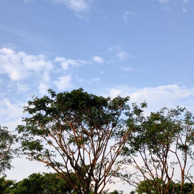 Weather forecasts with beautiful photos by Yoya2