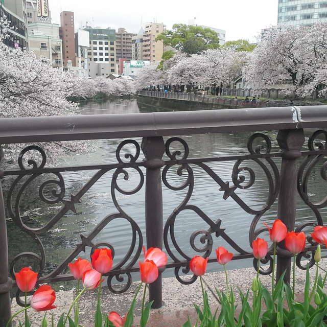 Isabelle Nambuの美しい写真による天気予報