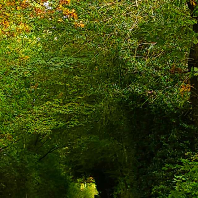 Фото Bank. Прогнозы погоды с чудесными фотографиями, сделанными Seni в Фельберт