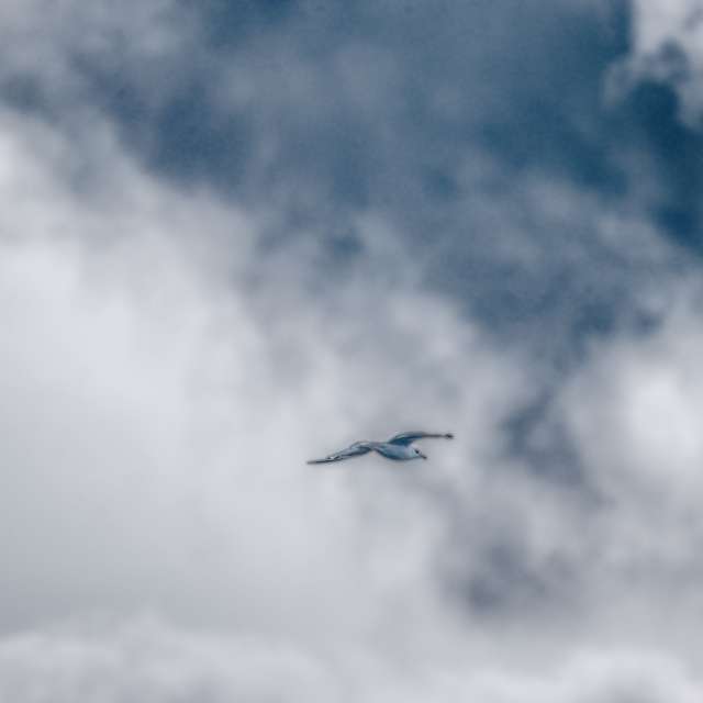 Weather forecasts with beautiful photos by krantzjh