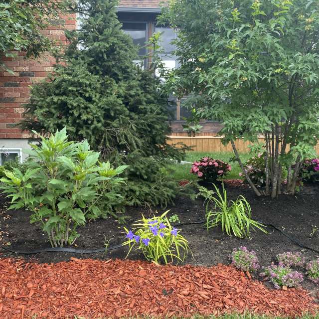 Ziegel. Wettervorhersagen mit schönen Fotos von Lulu5523 Fotos Outaouais