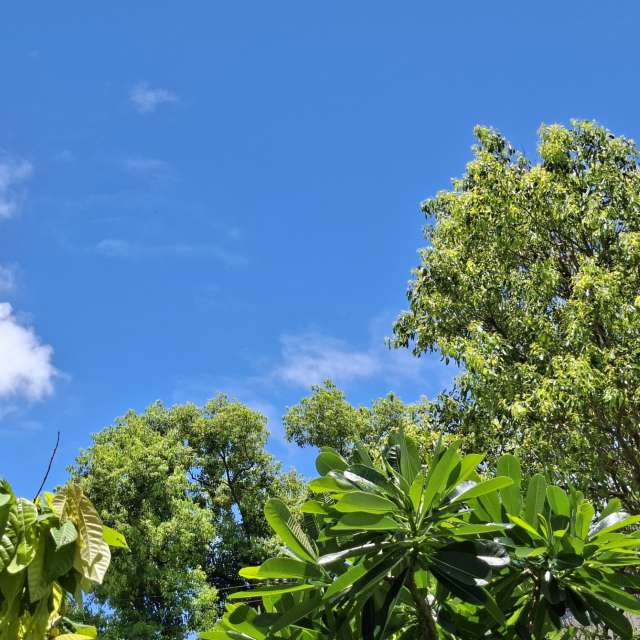 Fotos Parque. Previsões do tempo com lindas fotos de Wen-ya Huang em Kaohsiung City