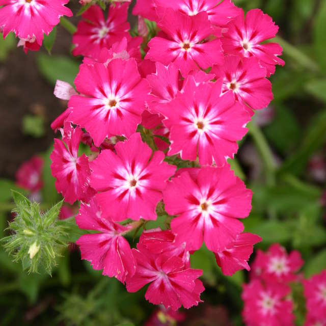 Table. Weather forecasts with beautiful photos by LarNa Photos in Moscow