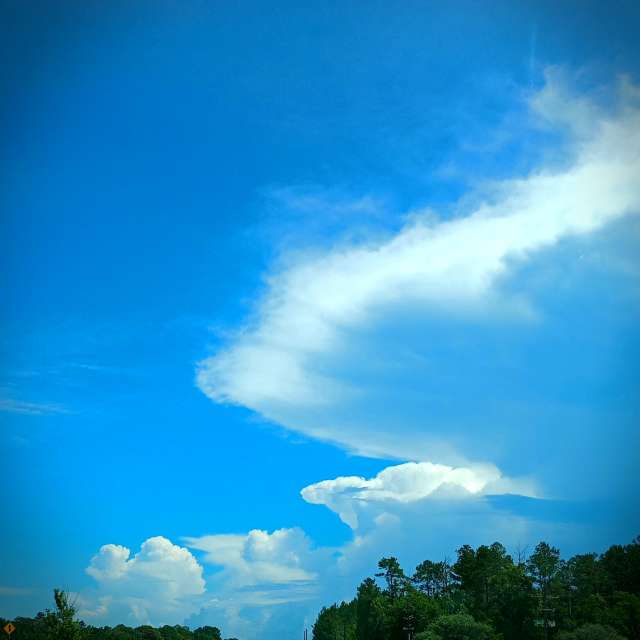 Almaの美しい写真による天気予報