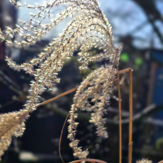 Prévisions météo avec de superbes photos de Seni