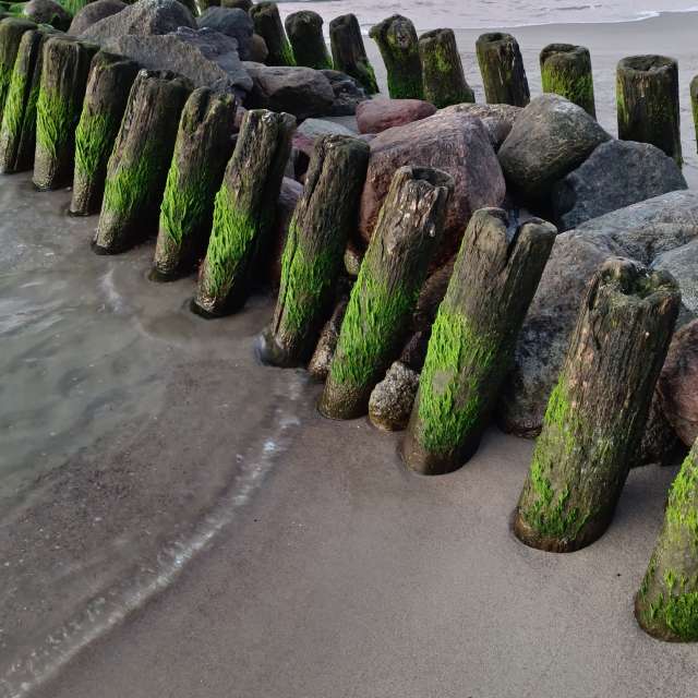 Fotos Clima. Previsões do tempo com lindas fotos de Михаил Бондаренко em Pionerskiy