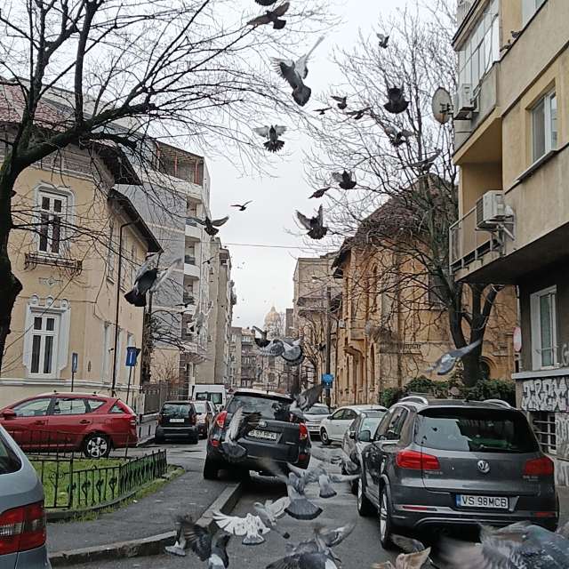 Прогнозы погоды с чудесными фотографиями, сделанными YanMir