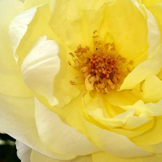 Prévisions météo avec de superbes photos de Wen-ya Huang