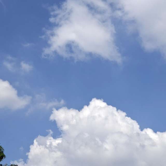 Prévisions météo avec de superbes photos de Wen-ya Huang