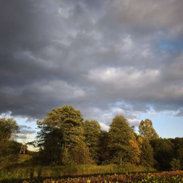 GREENE. Weather forecasts with beautiful photos by Amanda_and_Valdemar_Che Photos in Izmaylovo District