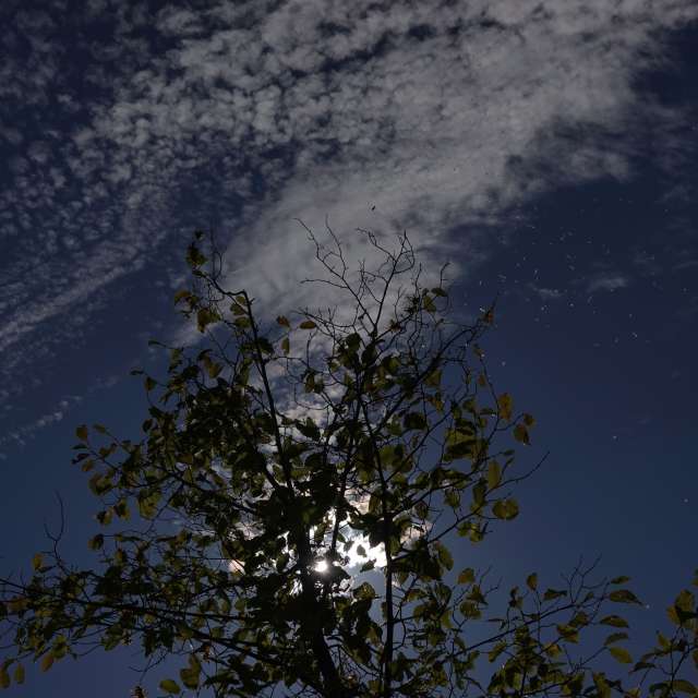 Fotos Escuro. Previsões do tempo com lindas fotos de Vasek325 em Praha 5