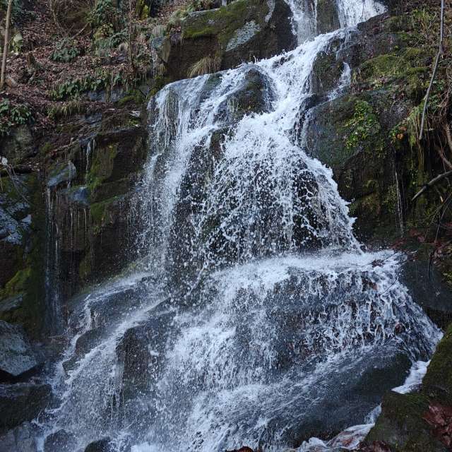 天气预报，带Rosiii精美的照片