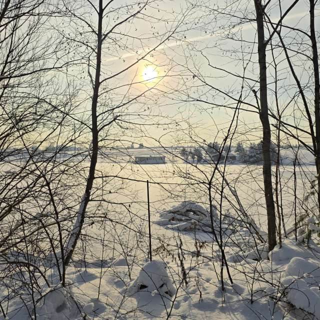 Stroganov_4の美しい写真による天気予報