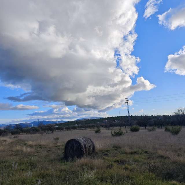 RoncevicRの美しい写真による天気予報