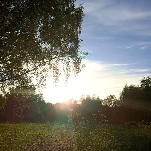 Herd. Weather forecasts with beautiful photos by Amanda_and_Valdemar_Che Photos in Izmaylovo District