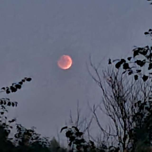 天气预报，带HelenR精美的照片