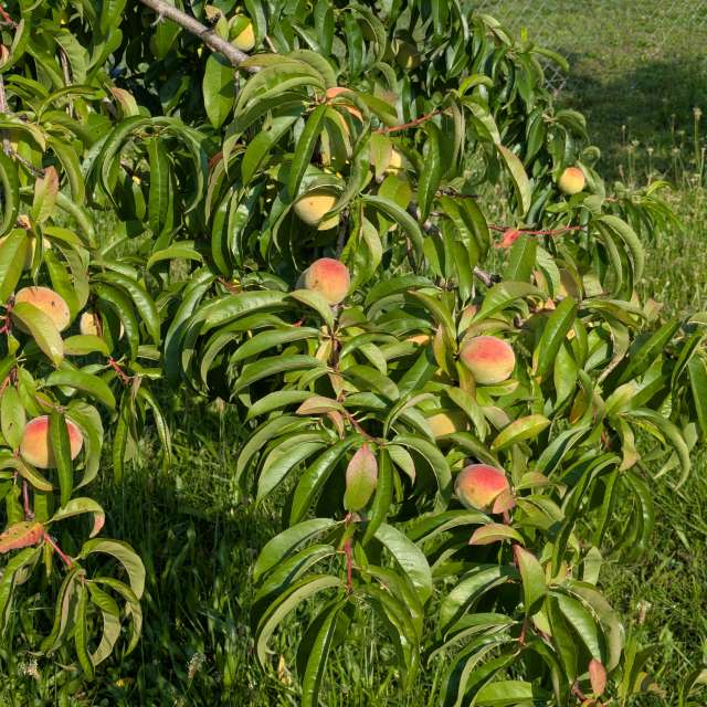Weather forecasts with beautiful photos by jeannecozzarin