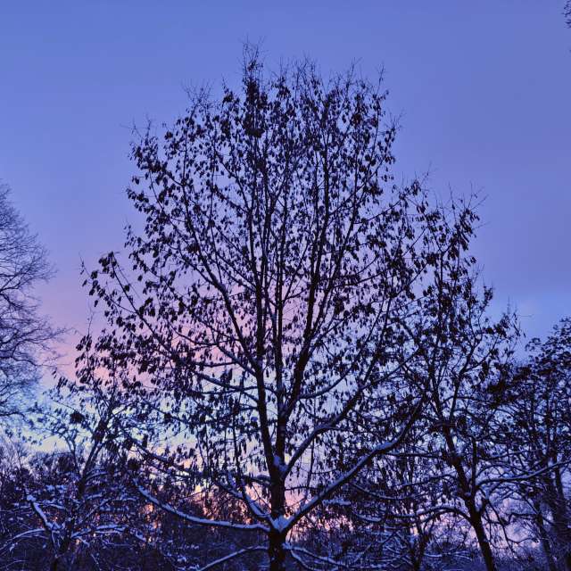 天气预报，带Gaucho精美的照片