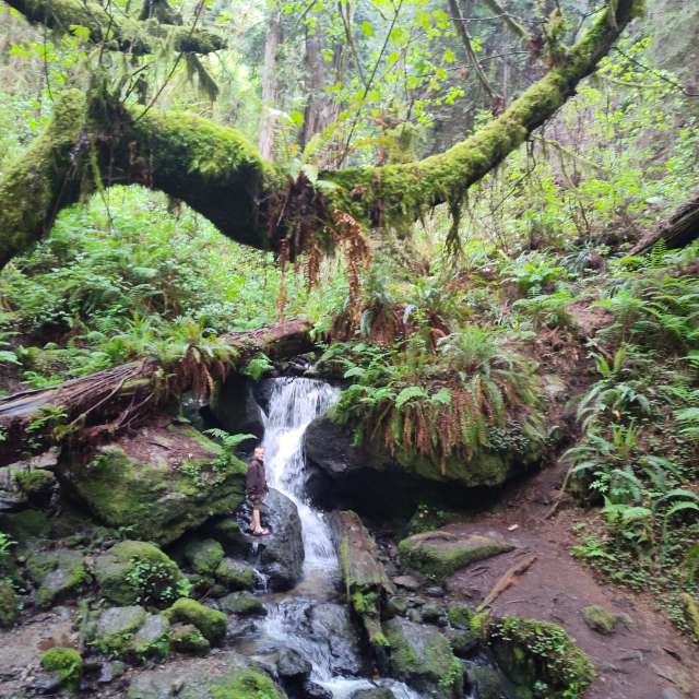 Weather forecasts with beautiful photos by Pilgrimfriend