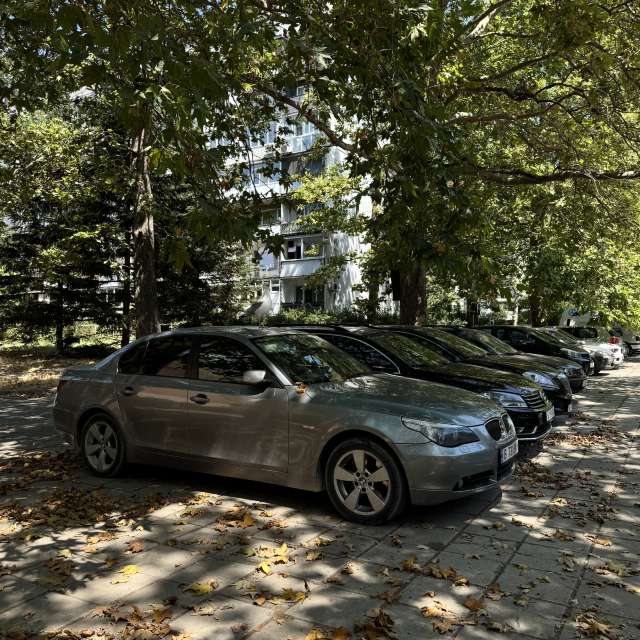 Prévisions météo avec de superbes photos de Sonia