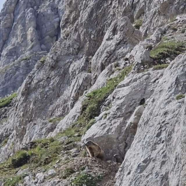 Weather forecasts with beautiful photos by Anamarija