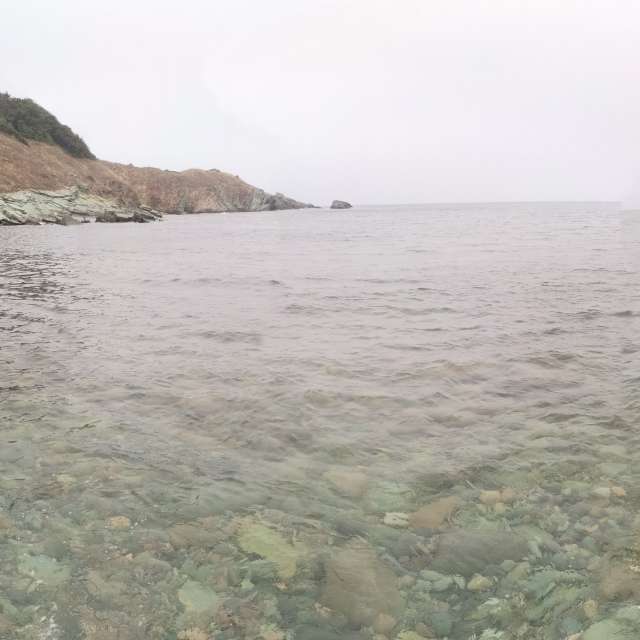 天气预报，带NikolayPaunchev精美的照片