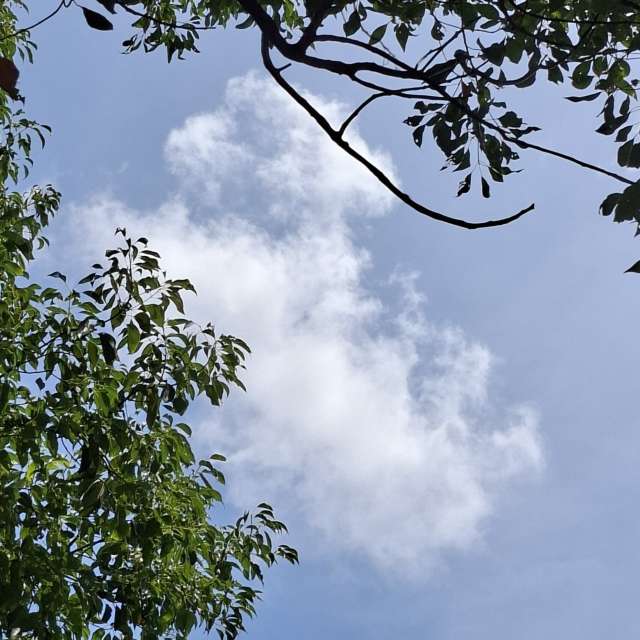 Fotos Visualizar. Previsões do tempo com lindas fotos de Wen-ya Huang em Kaohsiung City