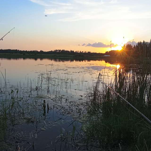 Licht. Wettervorhersagen mit schönen Fotos von Valiukas Fotos Litauen