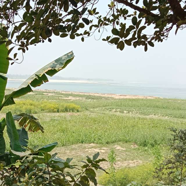 天气预报，带MD Shawkat Ali Khan精美的照片